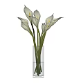 White Calla Lilies Arranged in Transparent Glass Vase with Green Stems