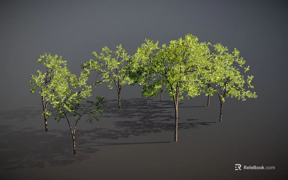 Green Trees with Slender Trunks and Lush Foliage on Dark Background with Ground Shadows 3d model 