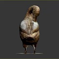 Artistic Bird Sculpture Carving With Woven Texture And Reflective Base