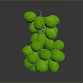 Plump Fresh Green Grapes with Vibrant Color and Juicy Look on Dark Background