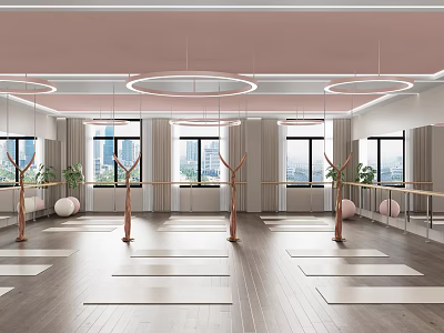 Bright Spacious Yoga Studio With Mats Suspended Rings Barres Windows And Plants For Fitness Practice 3d model
