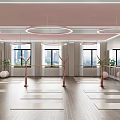 Bright Spacious Yoga Studio With Mats Suspended Rings Barres Windows And Plants For Fitness Practice