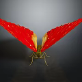 Butterfly With Vibrant Red Wings And Yellow Sections On Dark Background 3d model