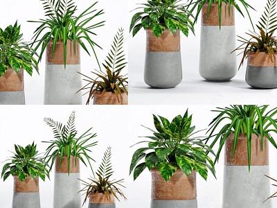 potted plant model