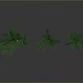 Three Trees With White Trunks Green Leaves On Black Ground Gray Background Reflections
