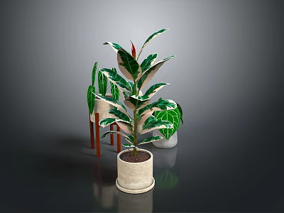 Indoor Green Plants With Variegated Leaves In Beige Ceramic Pot And Small Potted Decorations 3d model