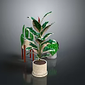 Indoor Green Plants With Variegated Leaves In Beige Ceramic Pot And Small Potted Decorations