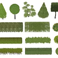 Various Pruned Shrub Shapes For Garden Landscaping And Green Hedge Design