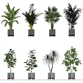 Various Green Leaf Potted Plants In White And Silver Pots For Home Decor