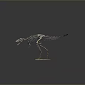 Detailed Dinosaur Skeleton Model On White Display Base With Natural Pose 3d model