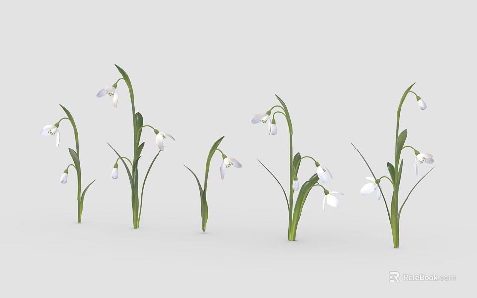 Snowdrops With White Small Flowers Green Stems And Leaves On White Background Fresh Natural Appearance 3d model 