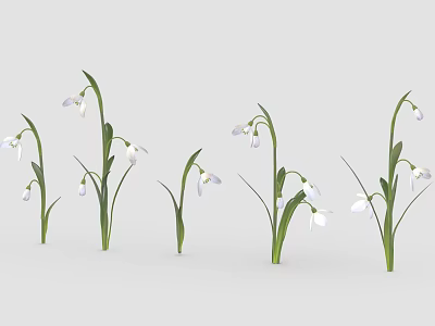 Snowdrops With White Small Flowers Green Stems And Leaves On White Background Fresh Natural Appearance 3d model