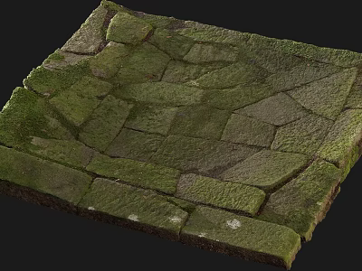 Moss Covered Stone Pavement With Irregularly Shaped Slabs Natural Vintage Design 3d model