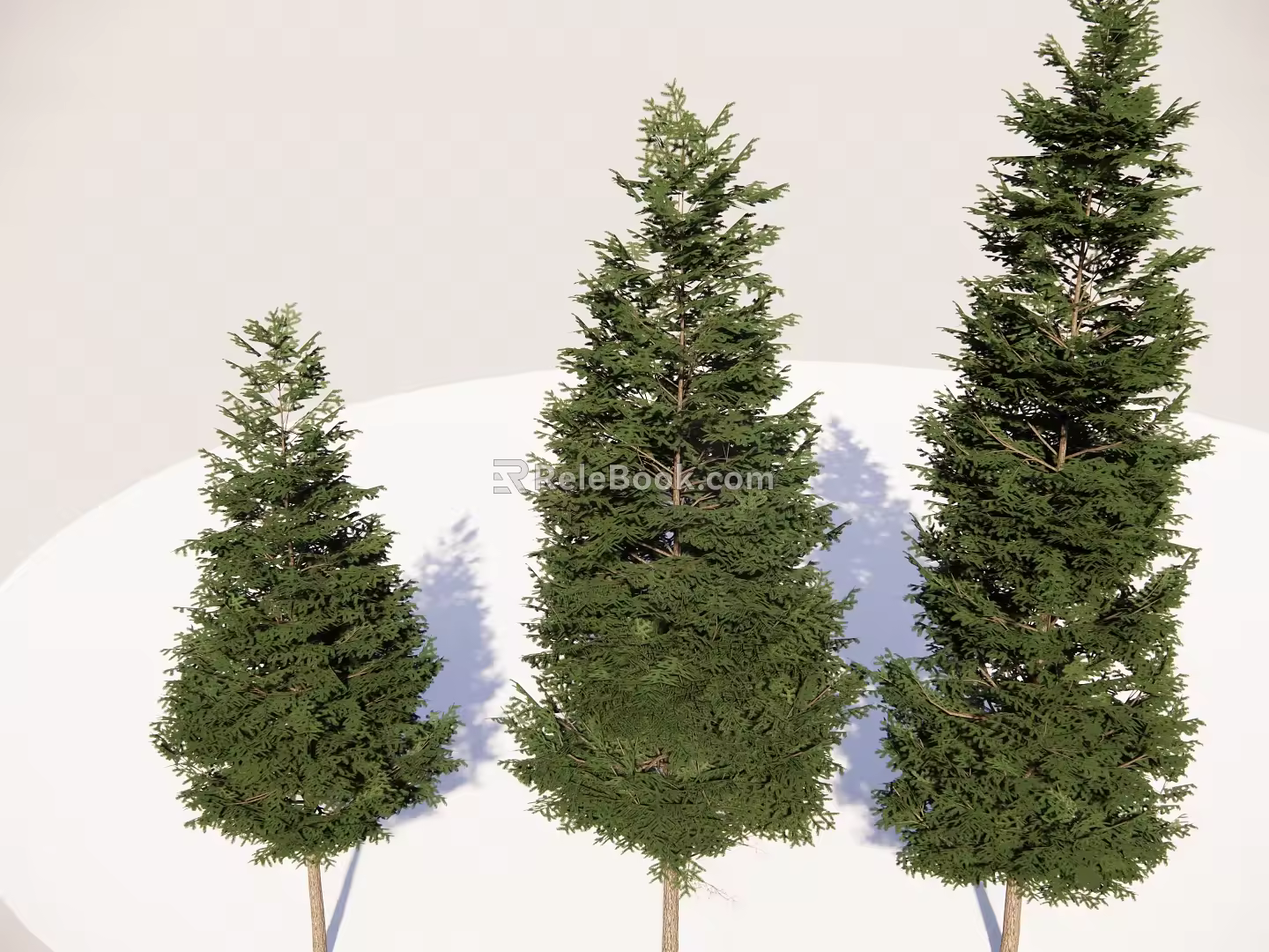 Modern Trees Landscape Trees Greening Trees Dwarf Sand Trees Courtyard Trees Conifer Trees Tall Trees Big Trees 3d model