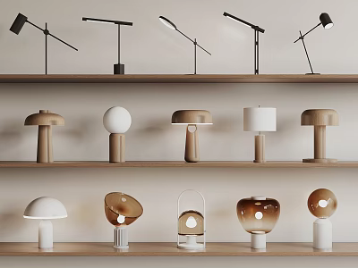 Diverse Table Lamps with Unique Shapes and Modern Designs on Wooden Shelves 3d model