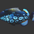 Vibrant Blue Tropical Fish With Circular White Spots Orange Fins And Reflection