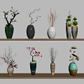 Decorative Vases With Assorted Plants On Wooden Shelves For Home Interior Decoration