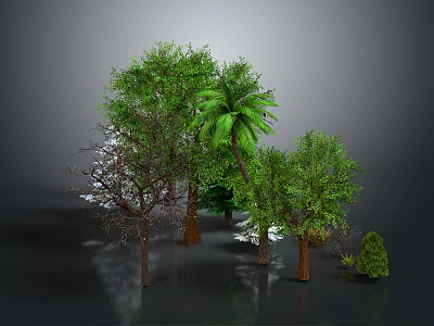 Variety Of Green Trees And Plants With Different Foliage Types 3d model