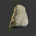 Natural Wood Stone With Green Moss Natural Texture And Color Variations