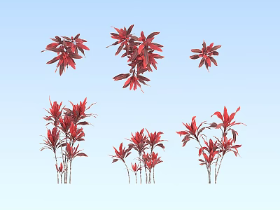 Modern Grass Jujiao 3d model Modern Grass Jujiao 3d model