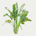 Vibrant Green Arbor with Large Leaves Upright Trunk and Lush Foliage