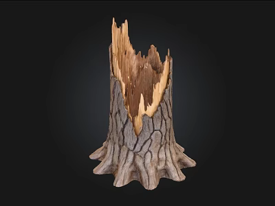Weathered Tree Stump With Broken Top Cracked Bark And Exposed Roots On Dark Background 3d model