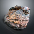 Unique Wood Stone With Organic Detailed Natural Texture And Raw Material Look