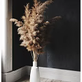 Decorative Ornament Combination With White Vase Dried Pampas Grass Against Dark Wall Corner White Trim