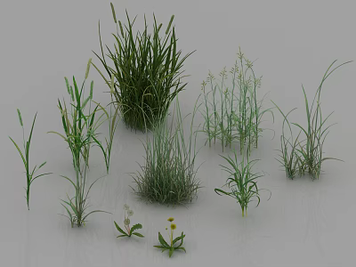 grass grass grass grass grass grass plants 3d model grass grass grass grass grass grass plants 3d model