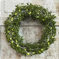 Decorative Wreath With Green Leaves Blue Berries And String Lights Hanging On Worn Wooden Wall