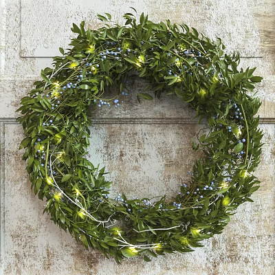 Decorative Wreath With Green Leaves Blue Berries And String Lights Hanging On Worn Wooden Wall 3d model