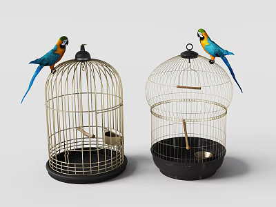 Decorative Ornament Set Featuring Two Birdcages With Colorful Parrots For Home Decor 3d model