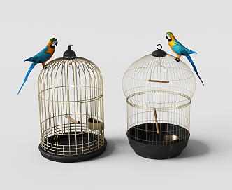 European-style birdcage decoration with parrot 3d model