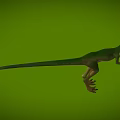 Bird-like Dragon Hunting Dragon Velociraptor Chinese Dragon Bird Microraptor Dinosaur Jurassic Low Face Number Low Model Simple Model Game Movie Level Super Realistic 3d model