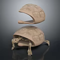 Detailed 3D Anatomical Rendering of Animal Organ Structure with Skeleton Shell and Fur