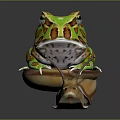 Frog Poison Frog Game Frog Reptile Cold Blooded Animal Reptile 3d model