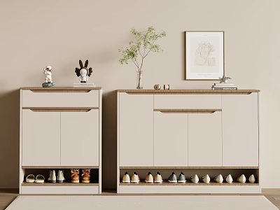 Modern Minimalist Shoe Cabinets With Small Decorations Green Plant Framed Picture And Shoes Below 3d model
