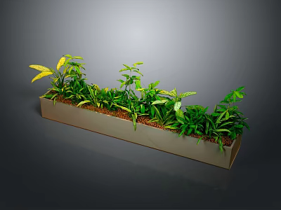 Various Green Plants in Rectangular Planter with Different Leaf Shapes on Dark Background 3d model