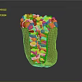 Tooth Organ Internal Structure With Colorful Granular And Microscopic Anatomy Details