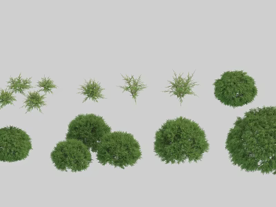 Different Types of Green Shrubs Showcasing Various Sizes and Natural Shapes 3d model