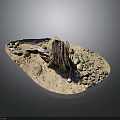Natural Plant Growth Environment With Dry Wood Stones And Sandy Ground