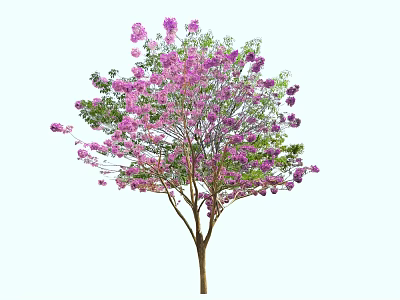 Graceful Arbor with Pink Blossoms and Green Leaves in Full Bloom 3d model