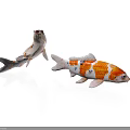 Two Colorful Koi Fish Swimming In White Background With Orange And White Patterns
