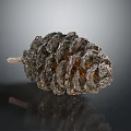 Detailed Natural Pine Cone With Textured Surface On Dark Reflective Background