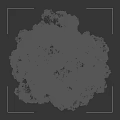 Tall Arbor With Lush Green Foliage And Sturdy Trunk Near Human Silhouette