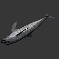 Game Movie Character White Dolphin 3D Render with Animated Realistic Design 3d model