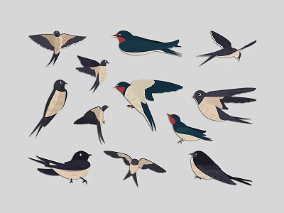 Flying Birds Swallows With Various Poses And Natural Feather Details 3d model