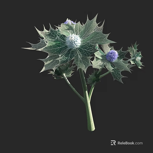 Spiky Green Leaves With White And Purple Flower Heads Decorative Botanical Plant 3d model 