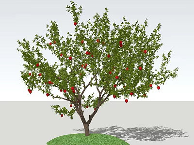 Lush Arbor with Green Leaves Red Fruits and Thick Trunk on Green Grass 3d model