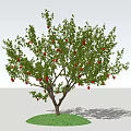 Lush Arbor with Green Leaves Red Fruits and Thick Trunk on Green Grass